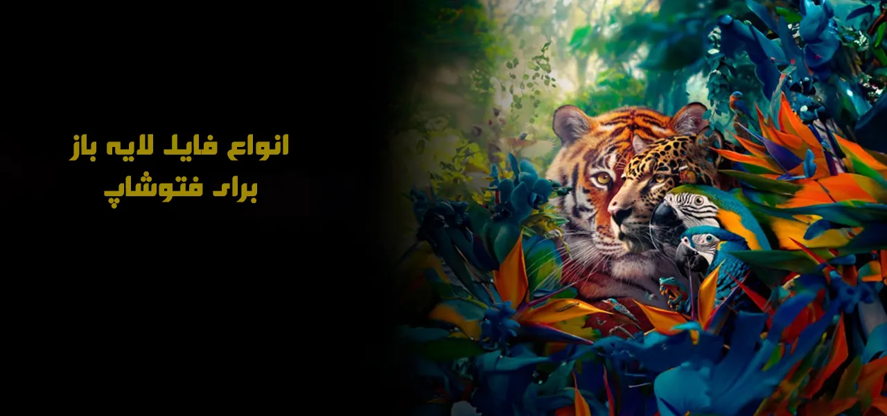 دانلود فایل فتوشاپ